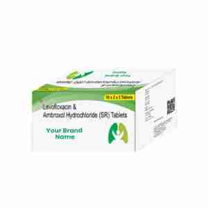 Levofloxacin & Ambroxol Hydrochloride (SR) Tablets