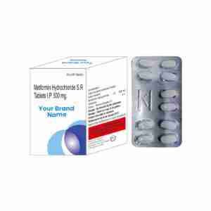 Metformin Hydrochloride S.R. Tablets 500 mg
