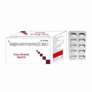 Teneligliptin & Metformin Hydrchloride (S.R.) Tablets IP
